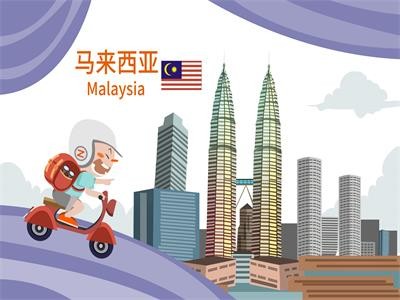 马来西亚签证分为几种大类型？